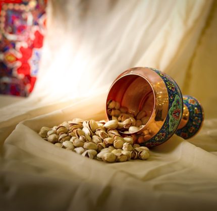خشکبار ایلیا گستر سیرجان