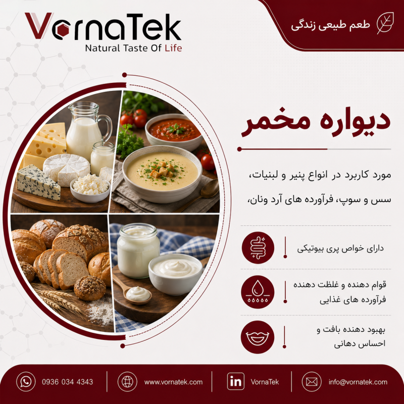 دیواره مخمر